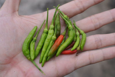 Cropped hand with green chili peppers