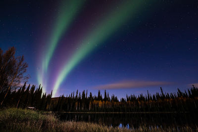 Scenic view of sky at night