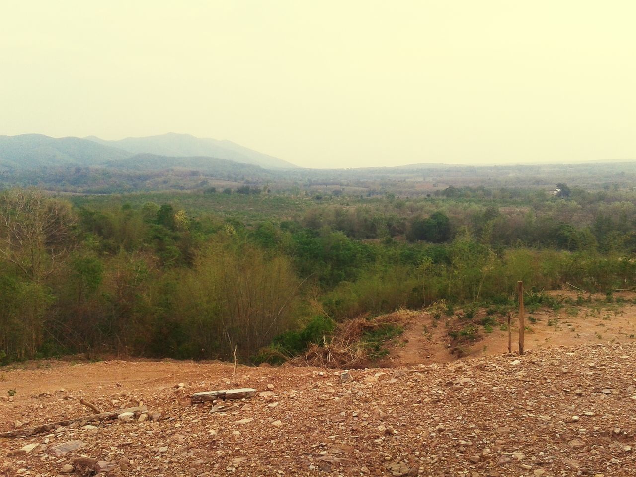 tranquility, tranquil scene, clear sky, landscape, scenics, nature, beauty in nature, mountain, tree, copy space, growth, non-urban scene, field, remote, day, plant, sky, non urban scene, outdoors, idyllic