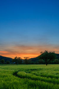 Scenic view of landscape at sunset