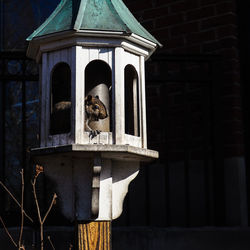 Close-up of statue against building