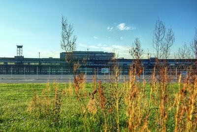 Grass growing in front of building