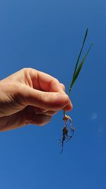 Close-up of hand holding blue sky