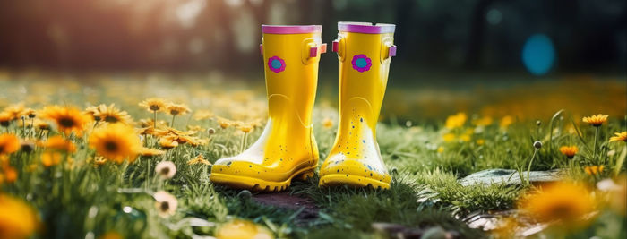 Spring gardening concept spring flowers with rubber boots in the spring park at sunset
