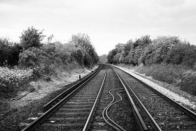 Railroad tracks amidst trees against sky