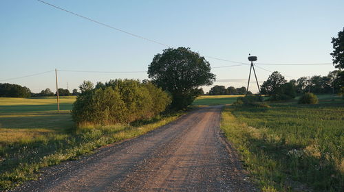 Road amidst trees on field against clear sky