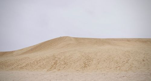 Tiny humans in a part of the majestic sand dune scenery on the tottori sand dune, japan.