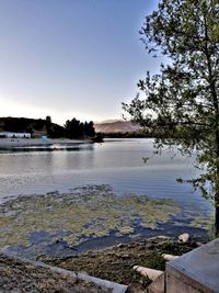 Scenic view of lake against clear sky