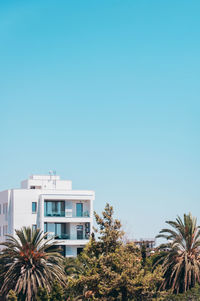Palm trees and buildings against clear blue sky
