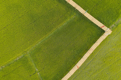 High angle view of green field