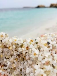 Close-up of pebbles on beach