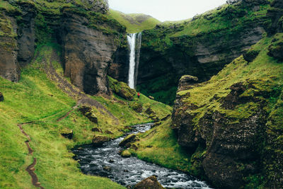 Scenic view of waterfall in forest