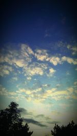 Low angle view of trees against cloudy sky