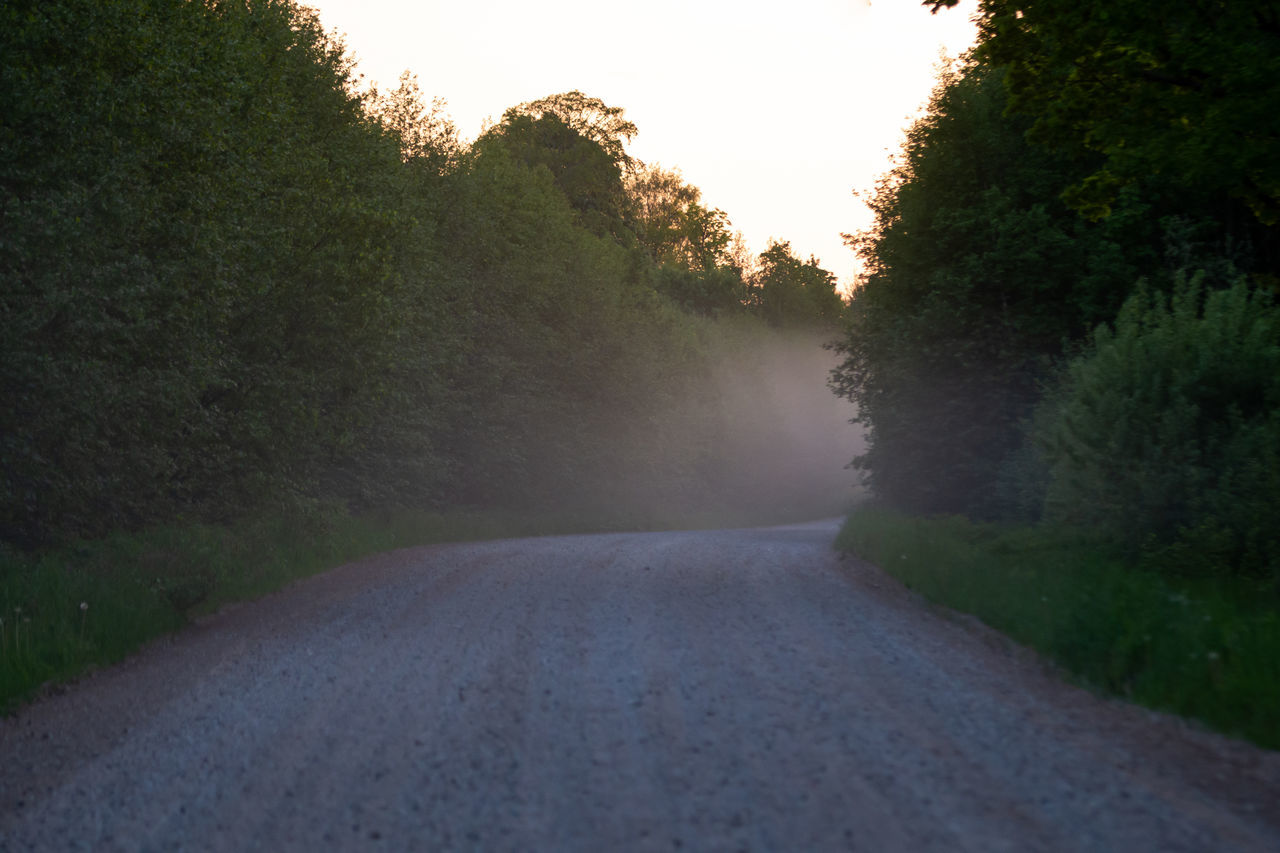 ROAD AMIDST TREES AND PLANTS AGAINST SKY