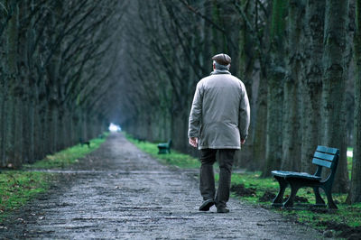 Rear view of man walking on footpath amidst trees