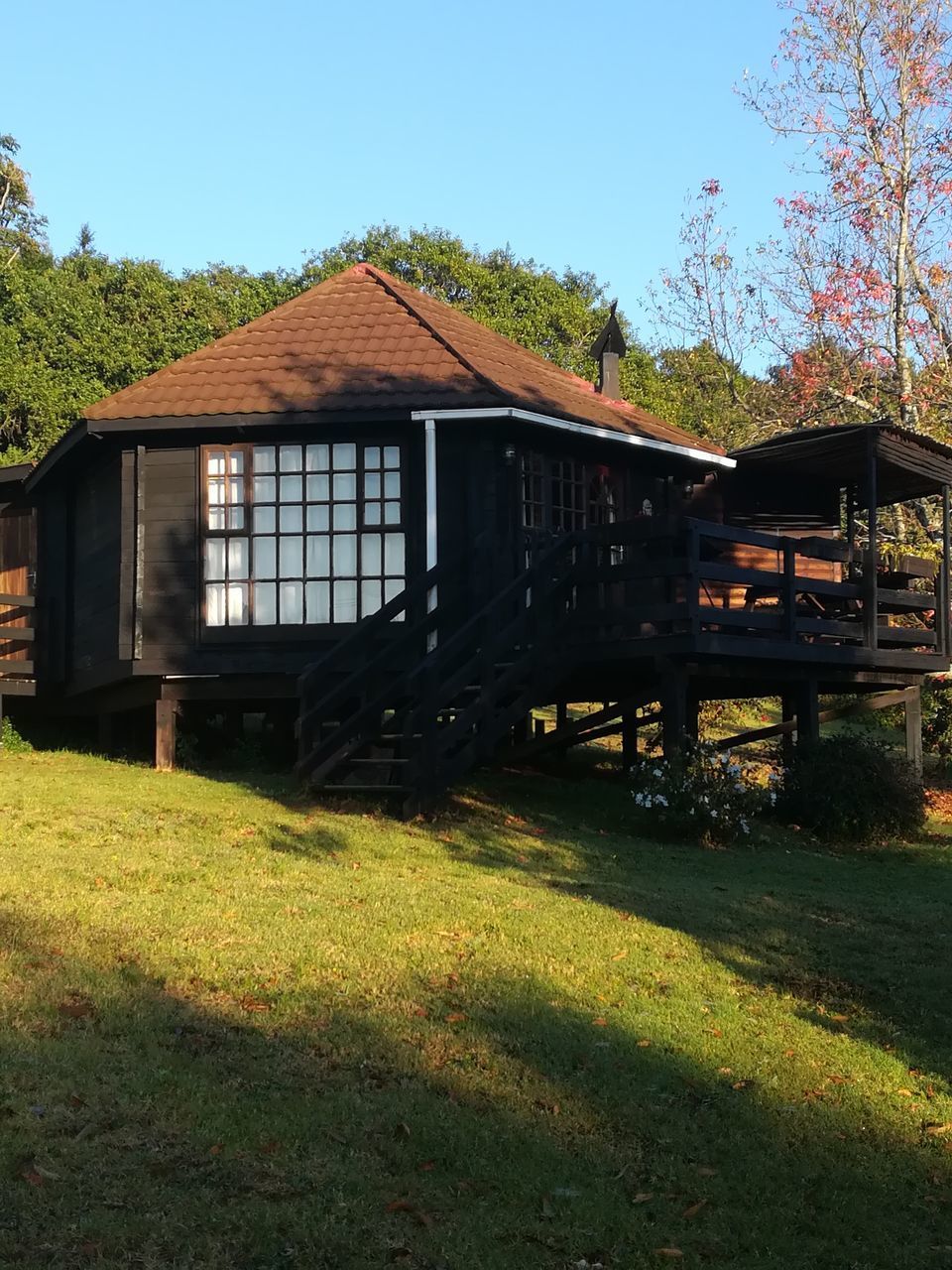 HOUSE AMIDST TREES AND BUILDINGS AGAINST SKY