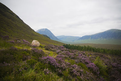 Scenic view of purple mountains against sky