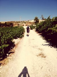 Rear view of man walking on footpath by road