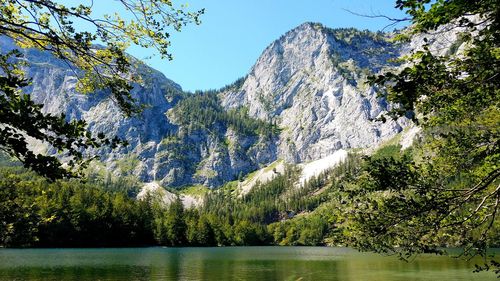 Scenic view of lake by trees in forest against sky