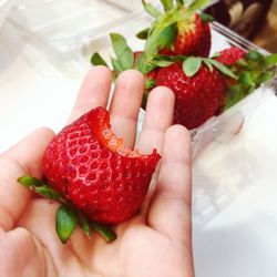 Cropped image of hand holding strawberries