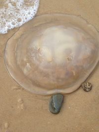 Close-up of water in sand