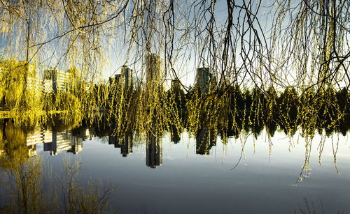 Scenic view of lake in forest against sky