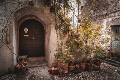Interior of abandoned house