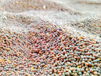 Full frame shot of beans for sale