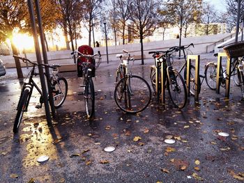 Bicycle parked by trees against sky