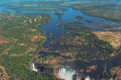 High angle view of river amidst trees