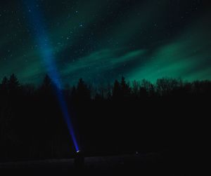 Silhouette trees against star field at night