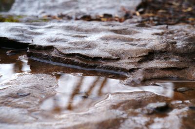 Close-up of water in rock