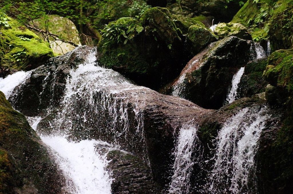 water, waterfall, flowing water, motion, beauty in nature, flowing, rock - object, nature, scenics, forest, long exposure, river, stream, idyllic, rock formation, day, outdoors, no people, tree, tranquility