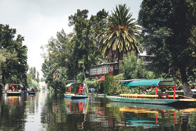 Scenic view of palm trees by river against sky