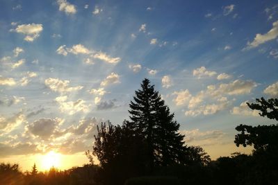 Silhouette trees against sky during sunset