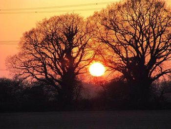 Silhouette of trees at sunset