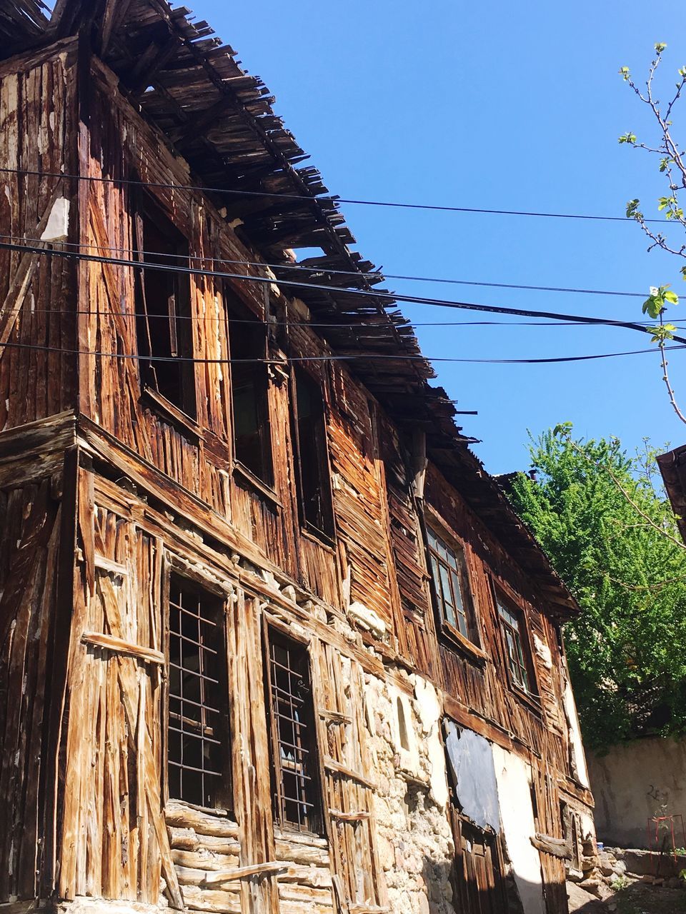 building exterior, built structure, low angle view, architecture, building, window, sky, nature, tree, no people, day, cable, old, clear sky, abandoned, plant, residential district, outdoors, damaged, sunlight, deterioration, ruined, apartment