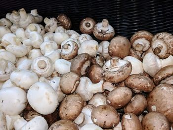 High angle view of mushrooms for sale