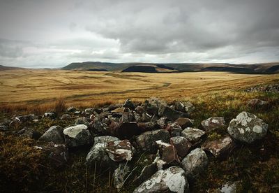 Scenic view of landscape against cloudy sky