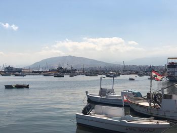 Sailboats moored in harbor