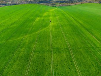 High angle view of green landscape