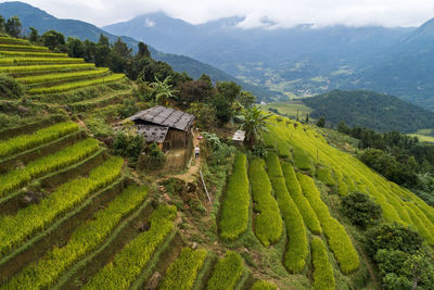 Scenic view of agricultural field against mountains