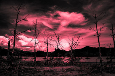 Silhouette bare trees on field against sky during sunset