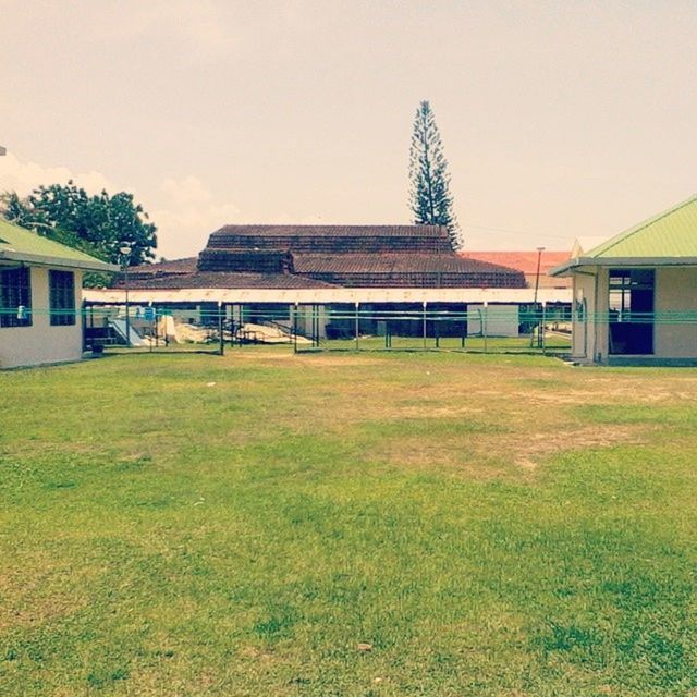 architecture, building exterior, built structure, grass, house, clear sky, tree, window, residential structure, residential building, sky, field, building, day, lawn, outdoors, copy space, no people, grassy, sunlight