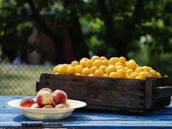 Close-up of fruits in basket on table