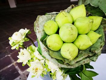 Close-up of green tomatoes on plant