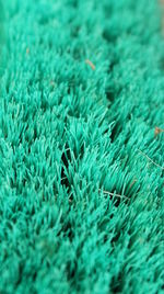 Full frame shot of cleaning brush