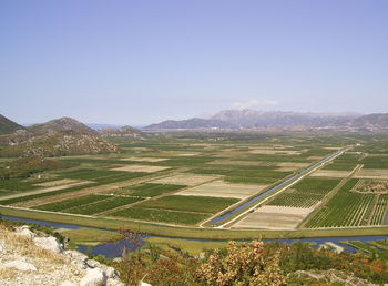 Scenic view of agricultural field against clear sky