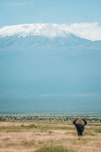 Scenic view of landscape against sky