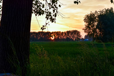 Scenic view of field against sky during sunset